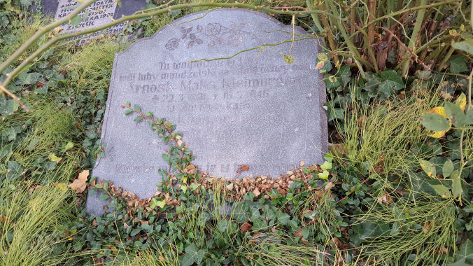 Arnošt Maks Kielmorgen