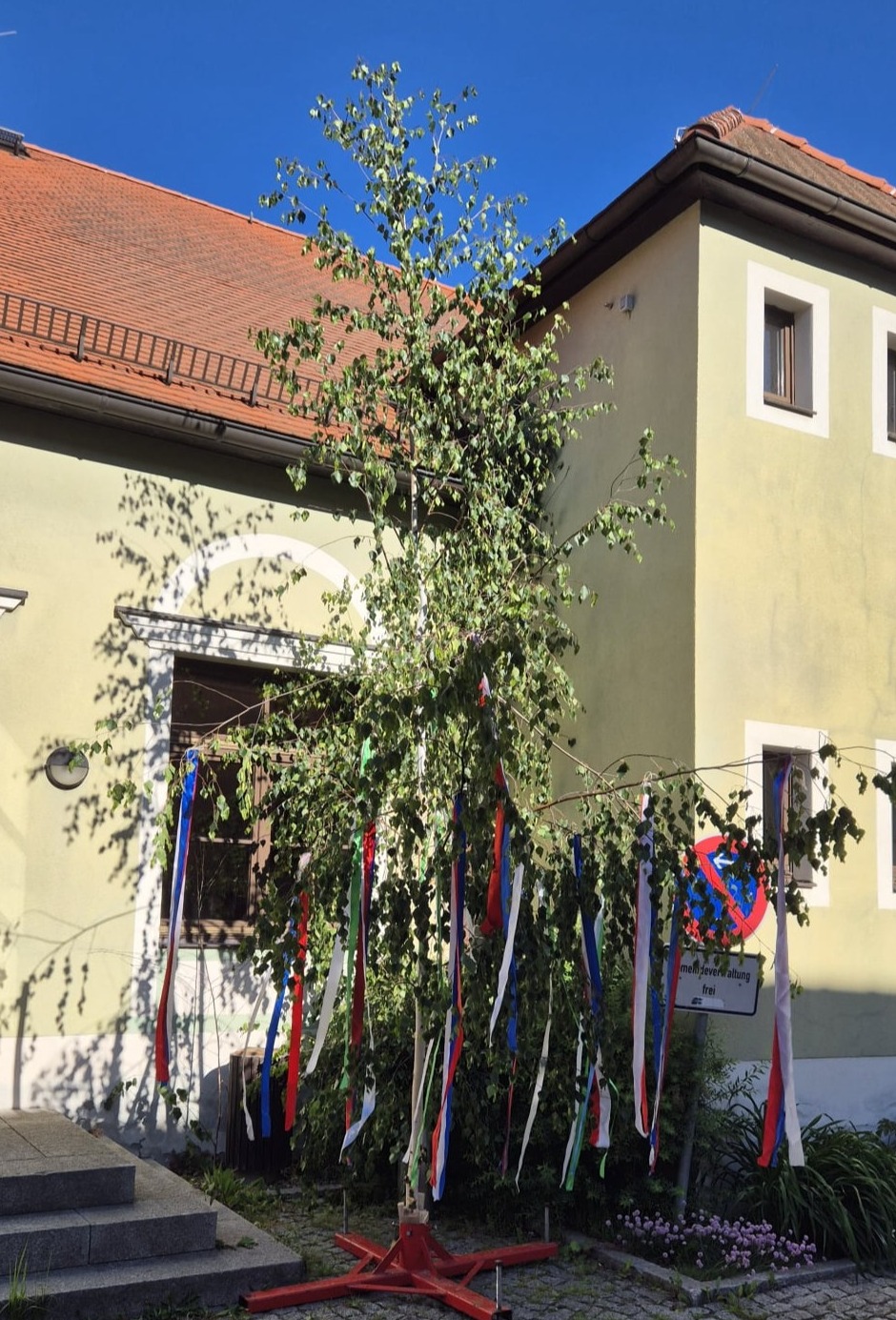 "Maibaum"